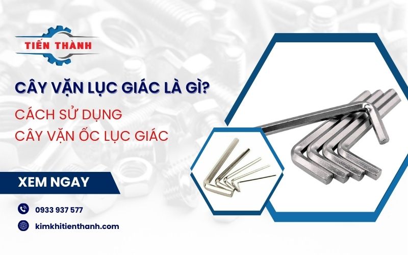 cây vặn lục giác là gì