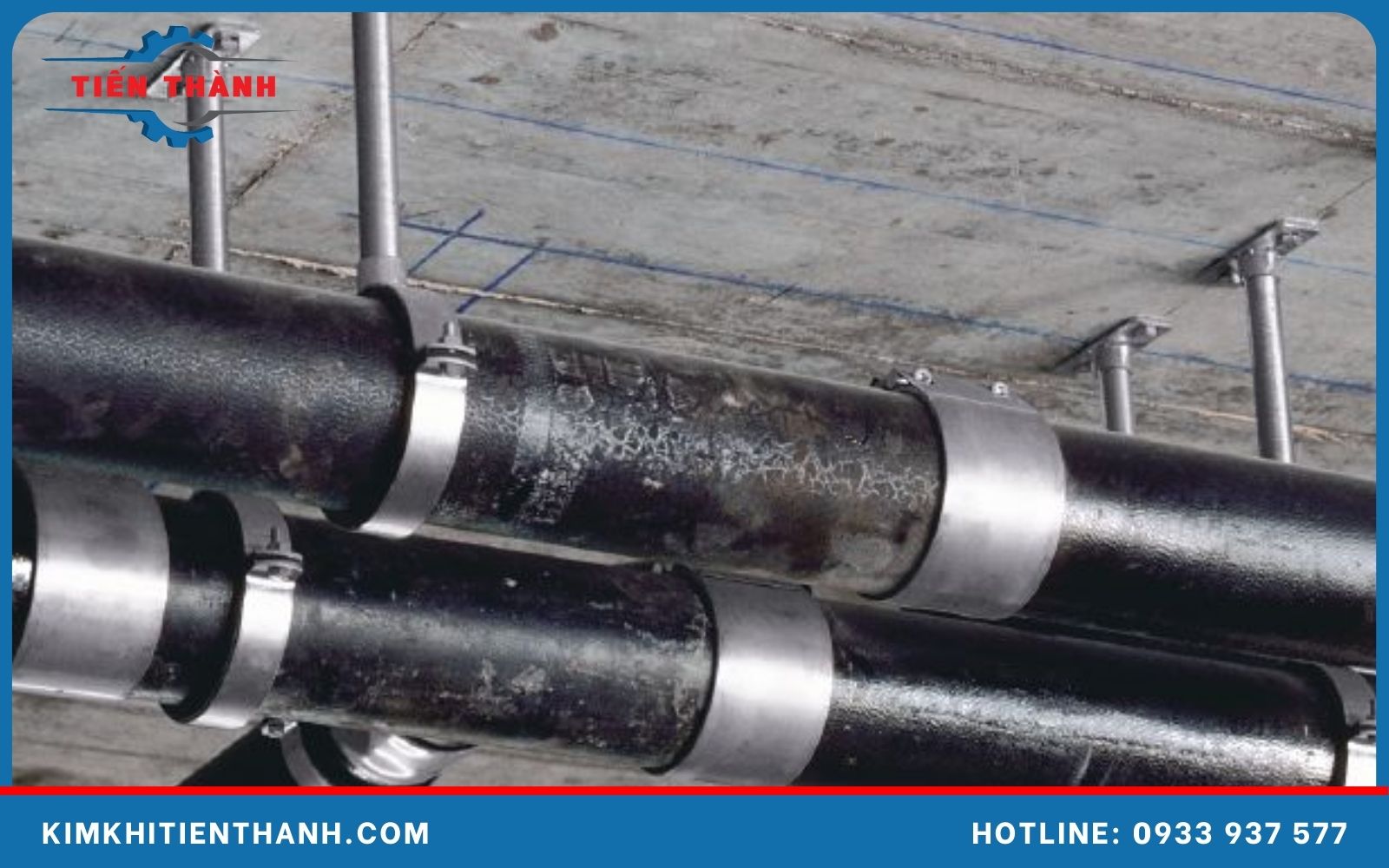 Ứng dụng phổ biến tắc kê đạn 12ly