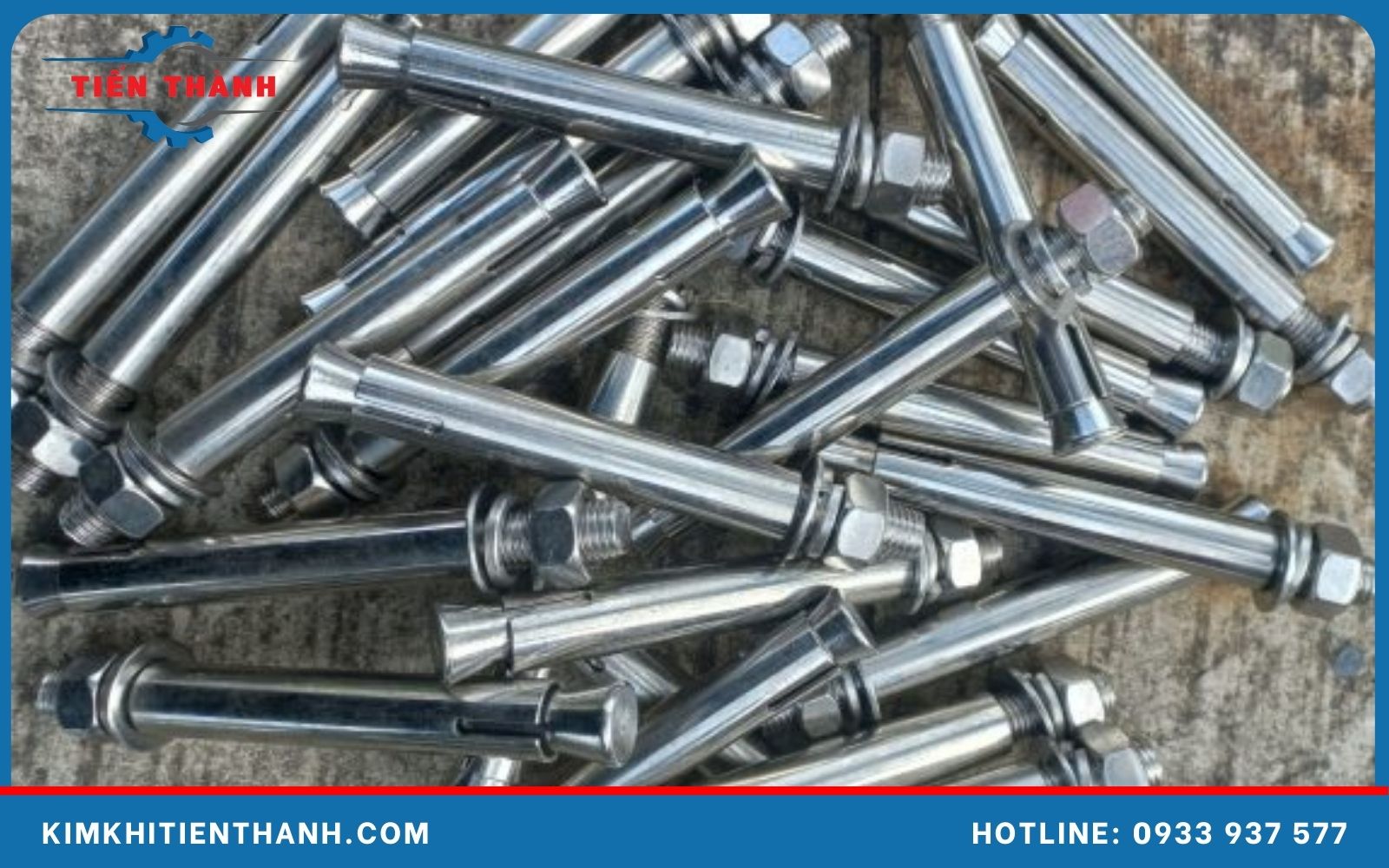 Giá tắc kê dao động từ 2.620 VNĐ/chiếc