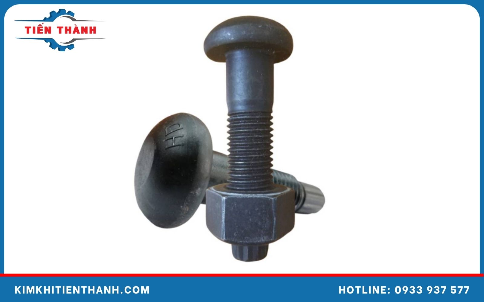 Bu lông cường độ cao – S10T