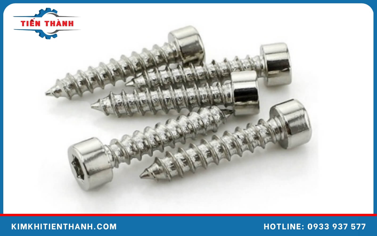 Cấu tạo chi tiết của vít bắt gỗ inox