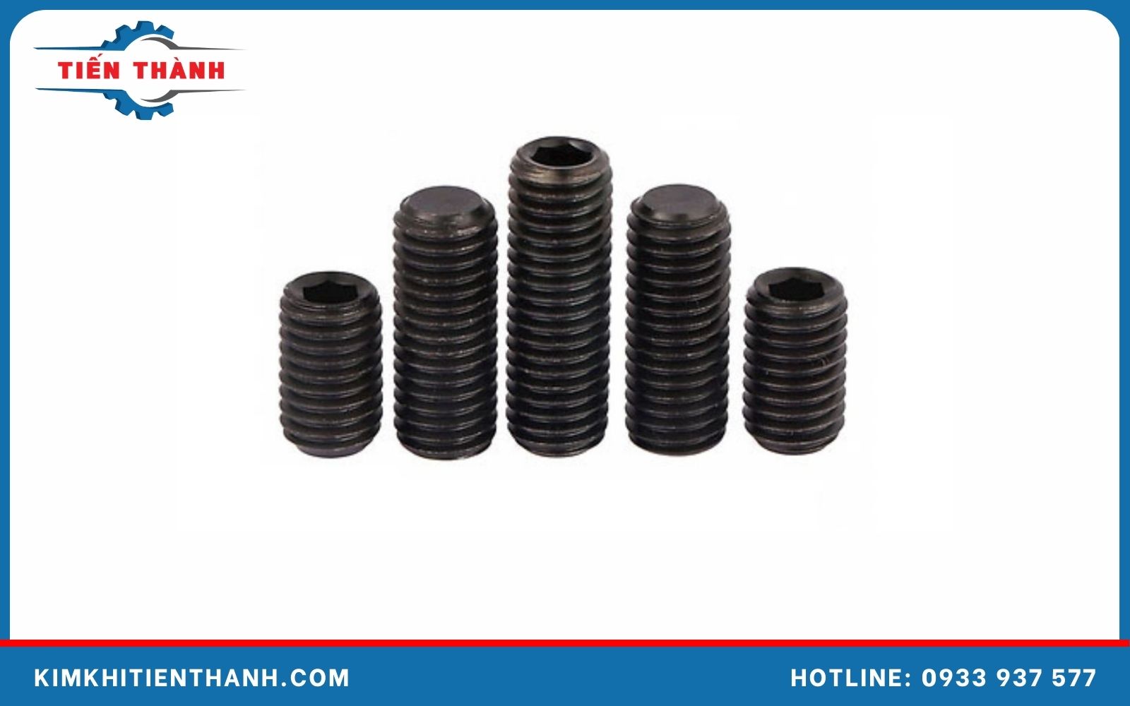 Cấu tạo chung của vít trí M6