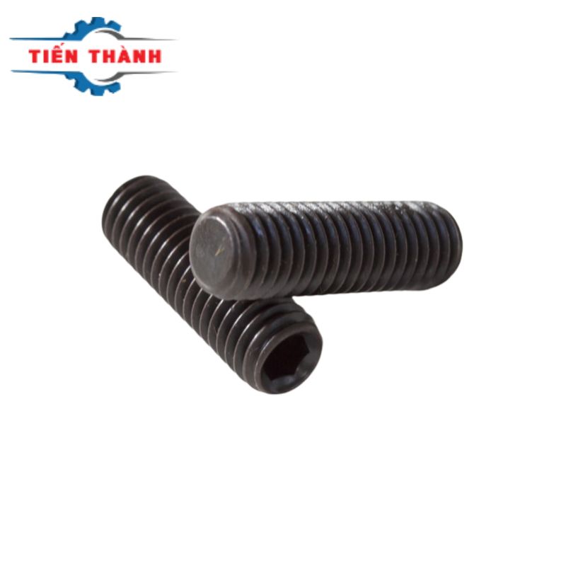 vít trí inox 304 m10